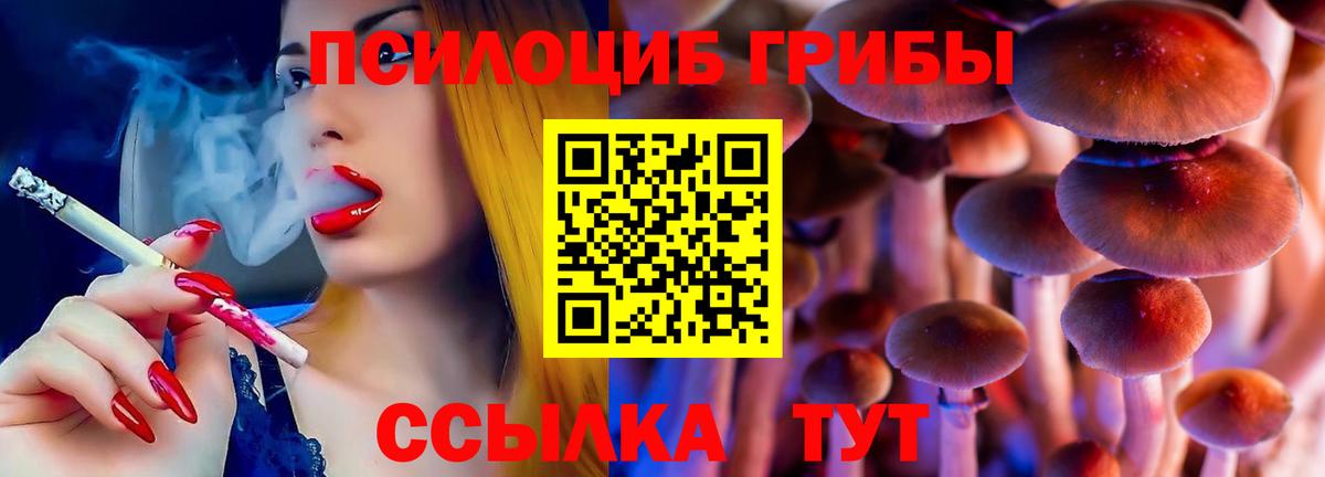 даркнет сайт  Галлюциногенные грибы Magic Shrooms  Вход с VPN  Шебекино 